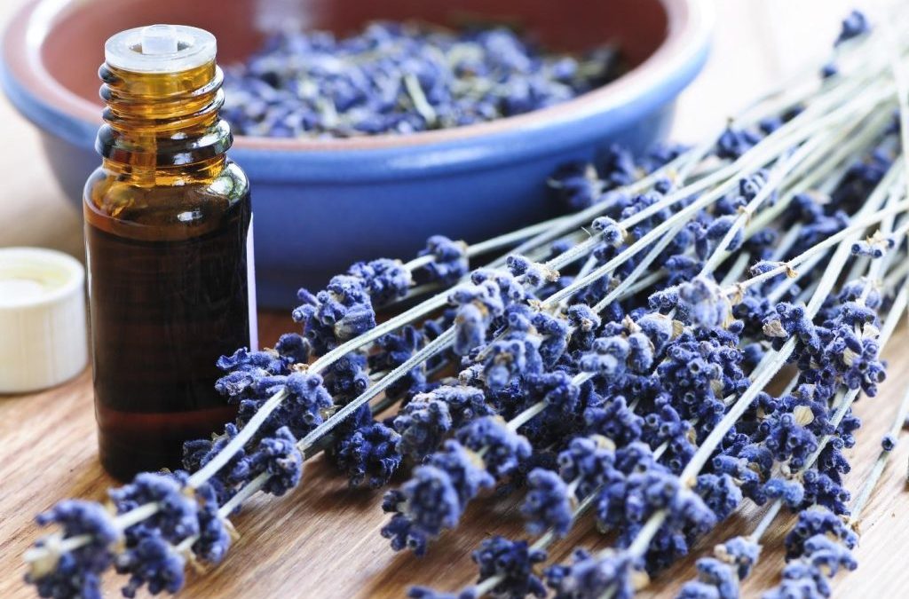 10 Best Essential Oils for Stress and Anxiety Relief